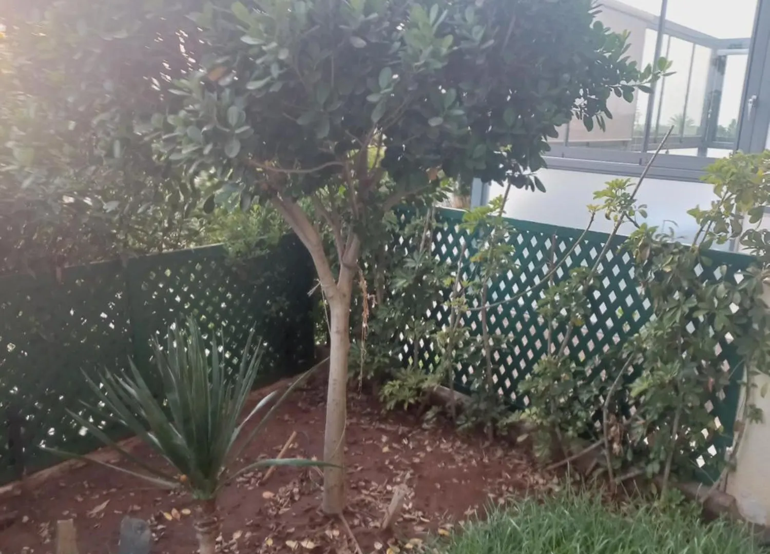 Residence La Vallee De Californie Ahfad Casablanca Lägenhet